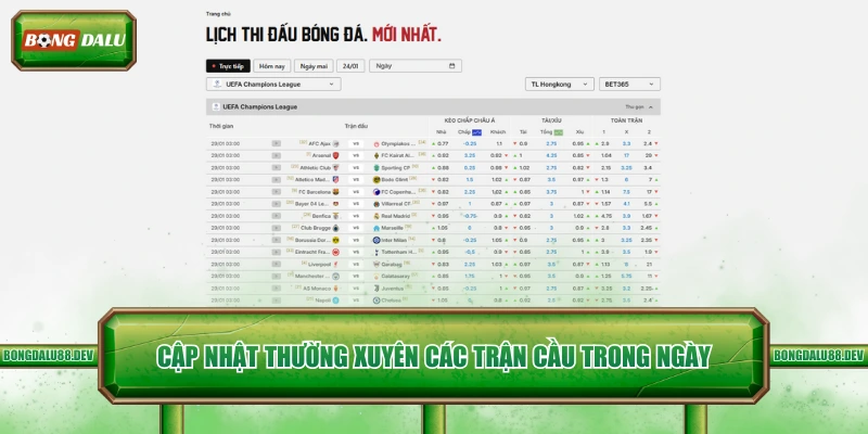 Cập nhật thường xuyên các trận cầu trong ngày