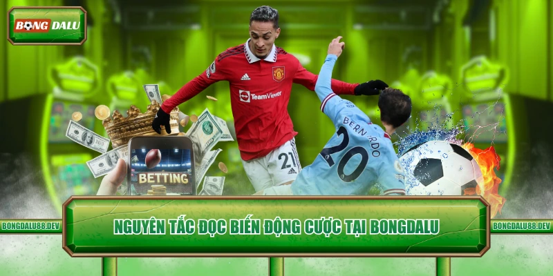 Nguyên tắc đọc biến động cược tại Bongdalu 